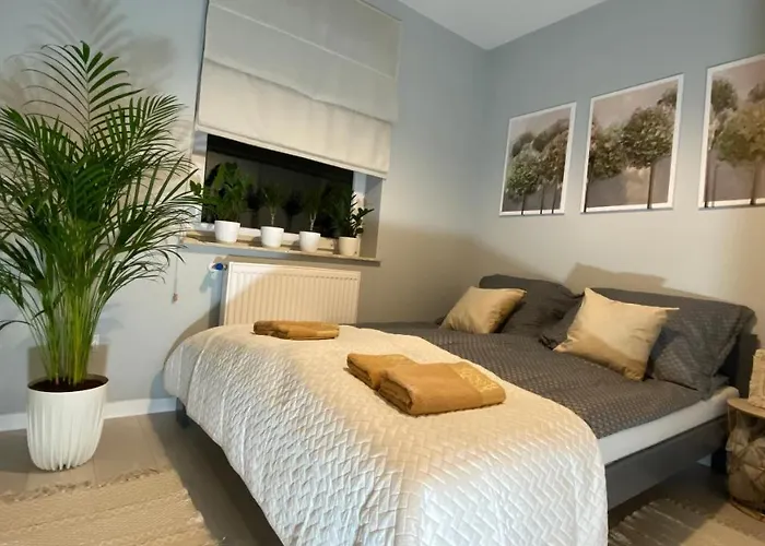 Apartament Plaza Park