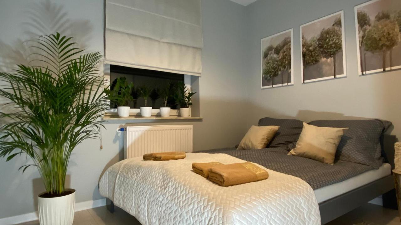 Plaza Park Apartment *